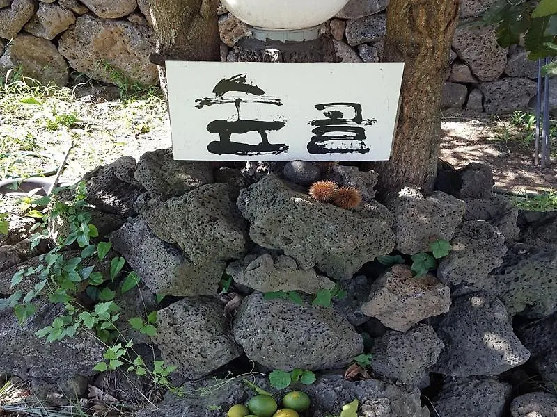Supgol Private House Villa Jeju South Korea
