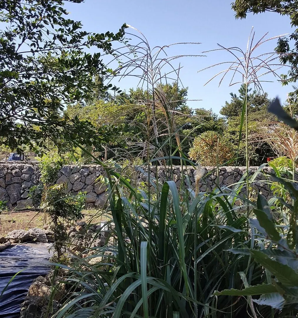 Supgol Private House Villa Jeju